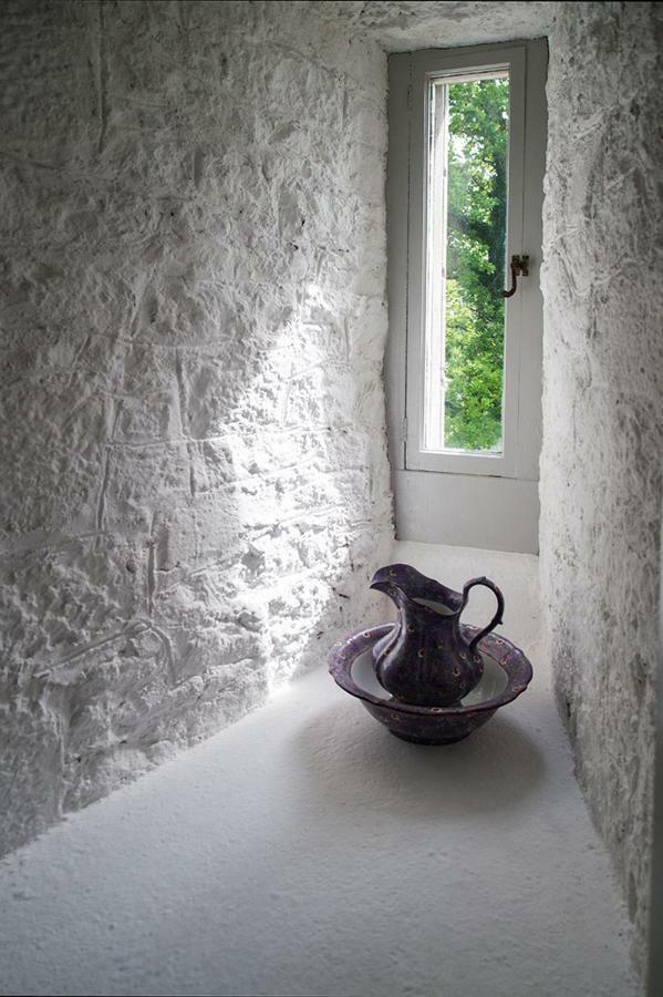 Ross Castle B&B Oldcastle Εξωτερικό φωτογραφία