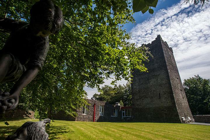 Ross Castle B&B Oldcastle Εξωτερικό φωτογραφία